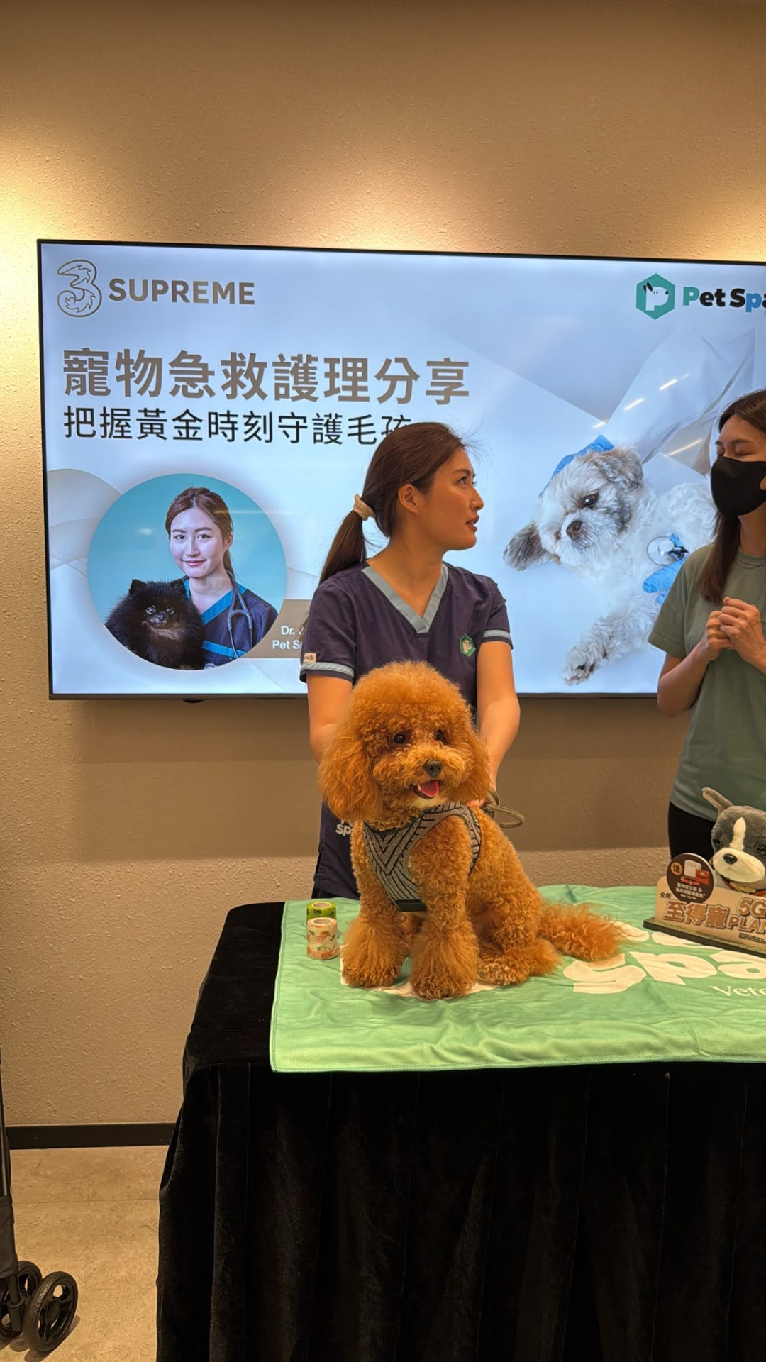 Dr Jasmine presenting a pet first aid session with a poodle on the demonstration table