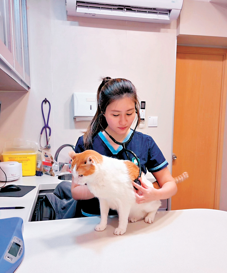 Dr Jasmine examining a cat during a veterinary consultation, featured in a Takungpao and Wen Wei Po interview